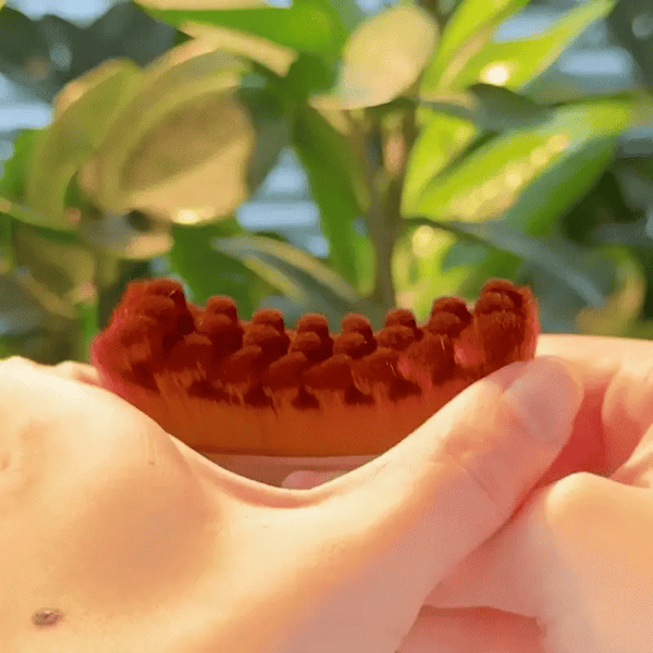 Glow-Boosting Face Brush